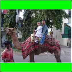 real-camel-riding.jpg