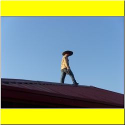 king-of-the-roof.JPG