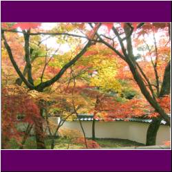 nanzenji-temple-fall-colors.jpg