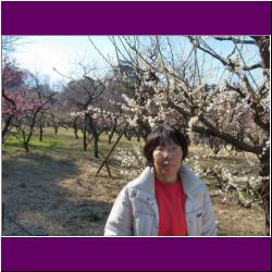 plum-blossoms-osaka-castle-japan.jpg