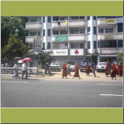 walking-monks.jpg