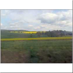 green-and-yellow-fields.JPG