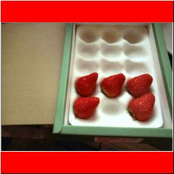 high-class-japanese-strawberries.jpg