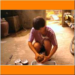 preparing-coconuts-phrao.jpg