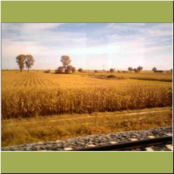 german-rolling-cornfields.jpg