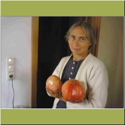 huge-tomatoes.jpg