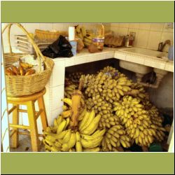 banana-world.jpg
