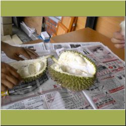 open-durian.jpg