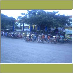 lots-of-bicycle-rickshaws.JPG