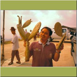 pr-p-going-to-grow-cactus.jpg